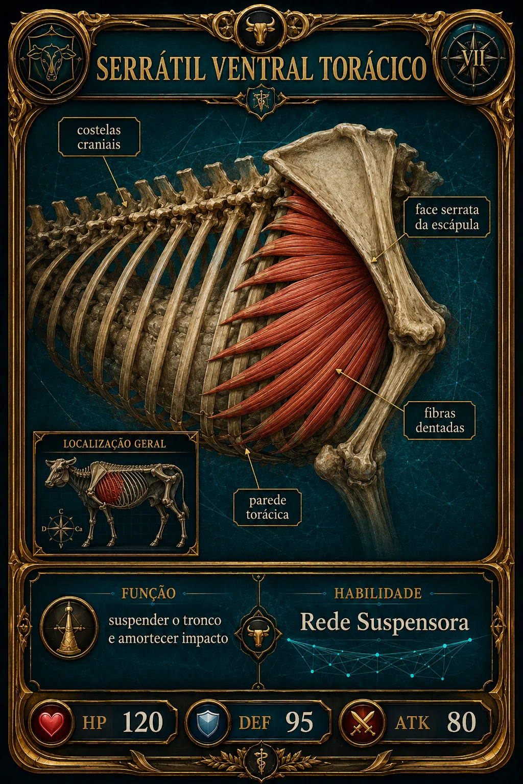 Card 200