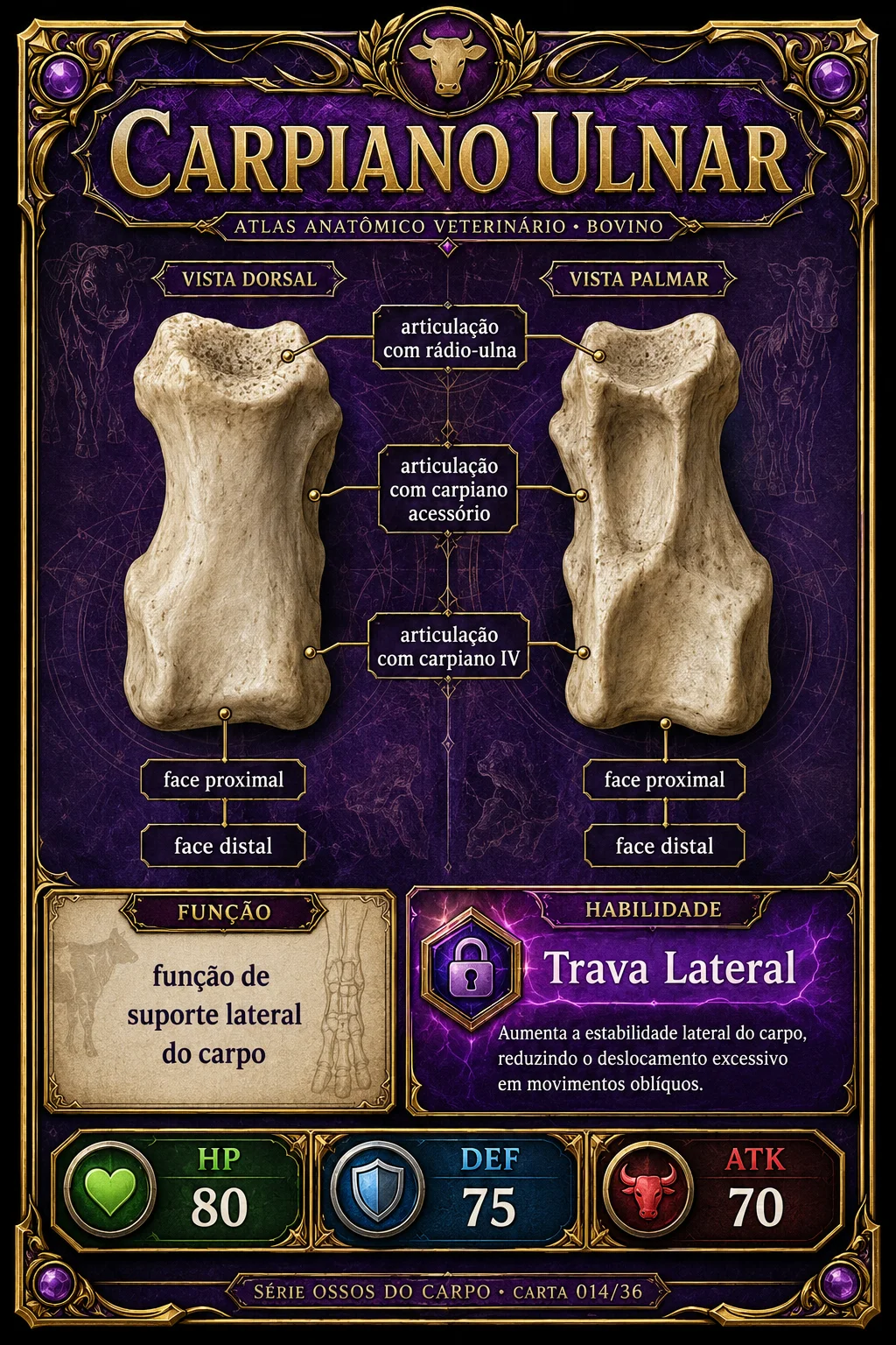 Card 2